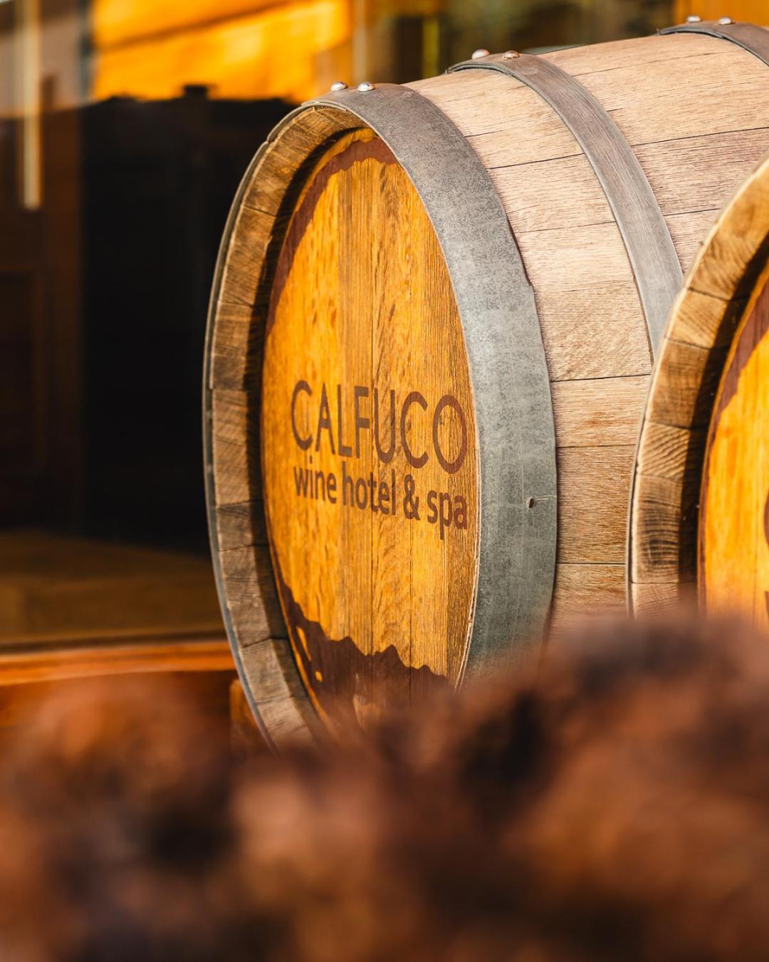Calfuco Wine Hotel & Spa Puerto Manzano Ngoại thất bức ảnh